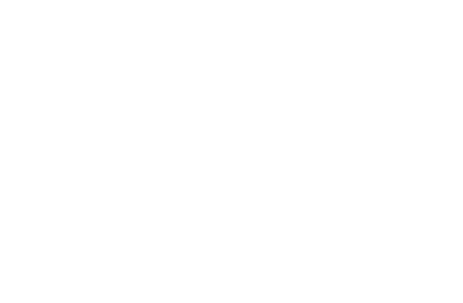 moodle - WU Executive Academy
